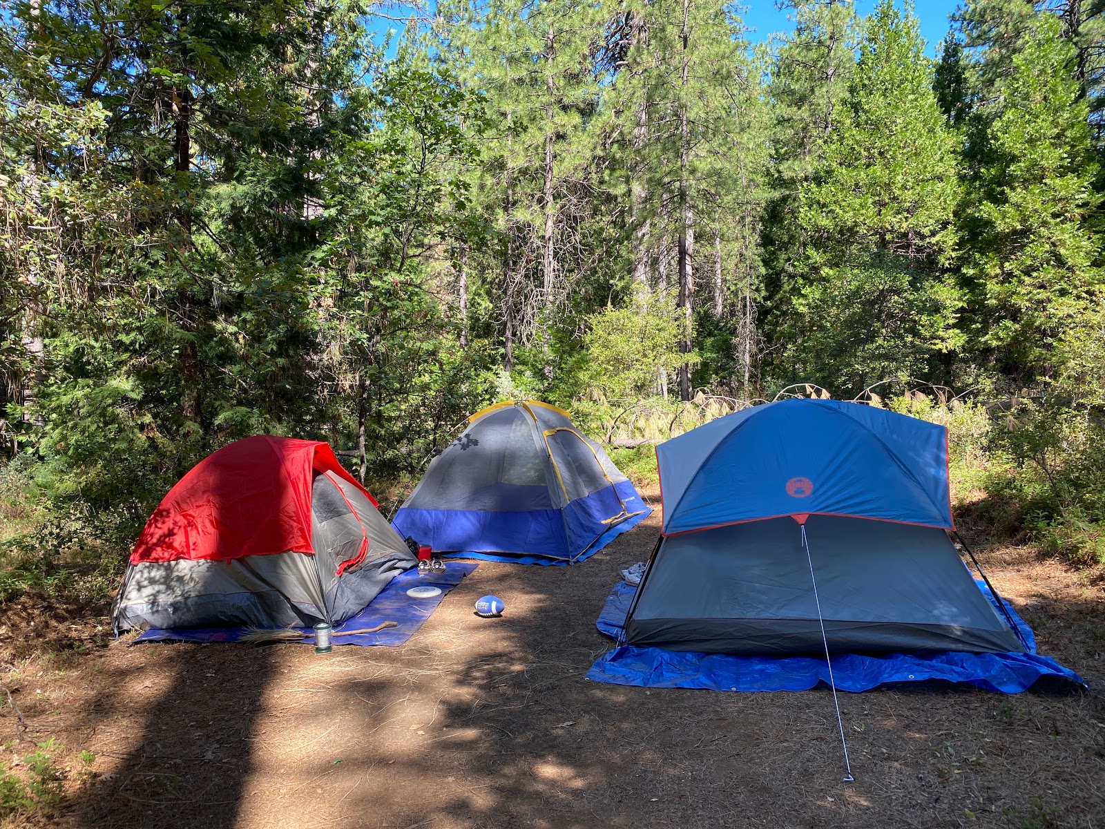 Woodchuck Campground