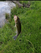 The Yellow Rose RV Park