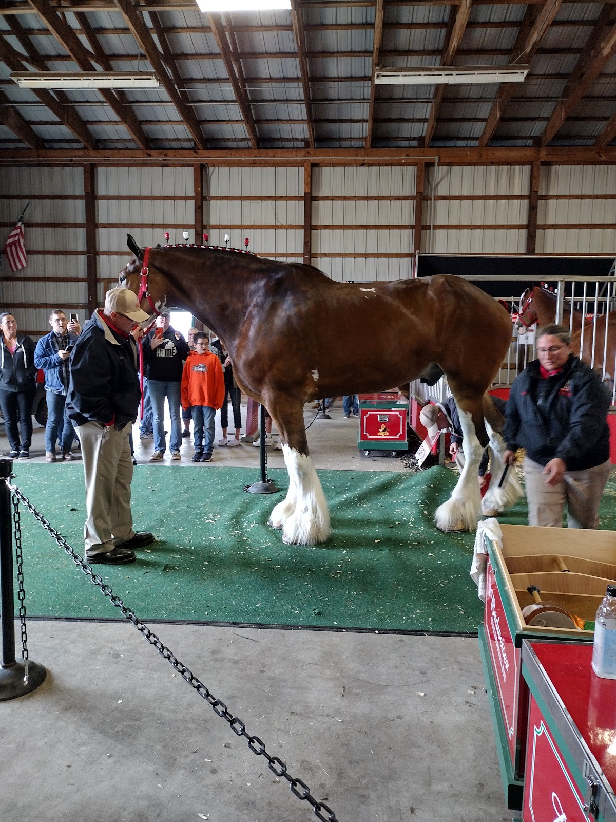 Mason County Fairgrounds Campground