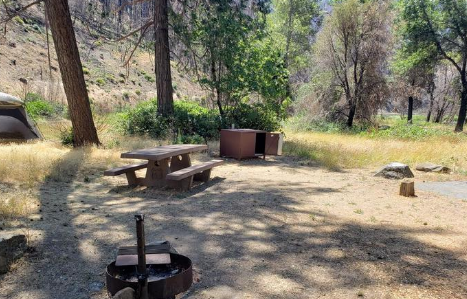 Gansner Bar Campground