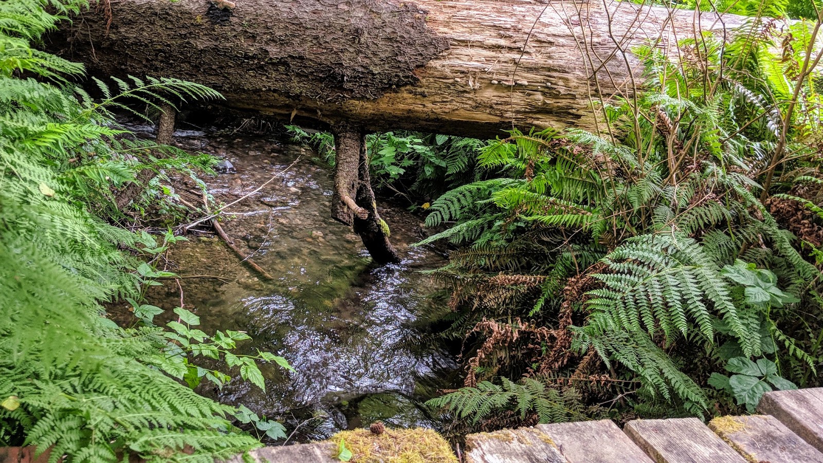 Elk River Campground