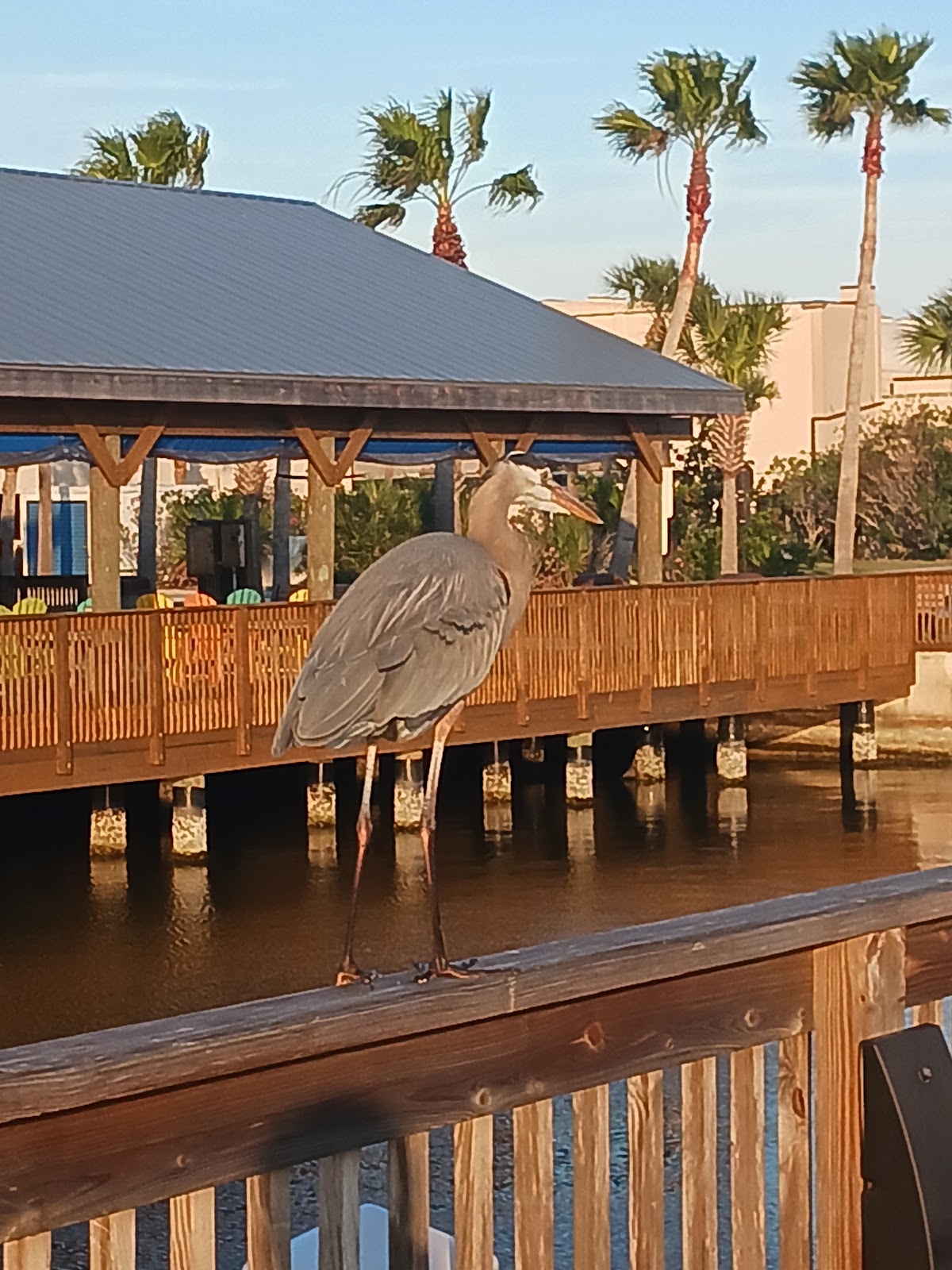 Manatee Cove Campground