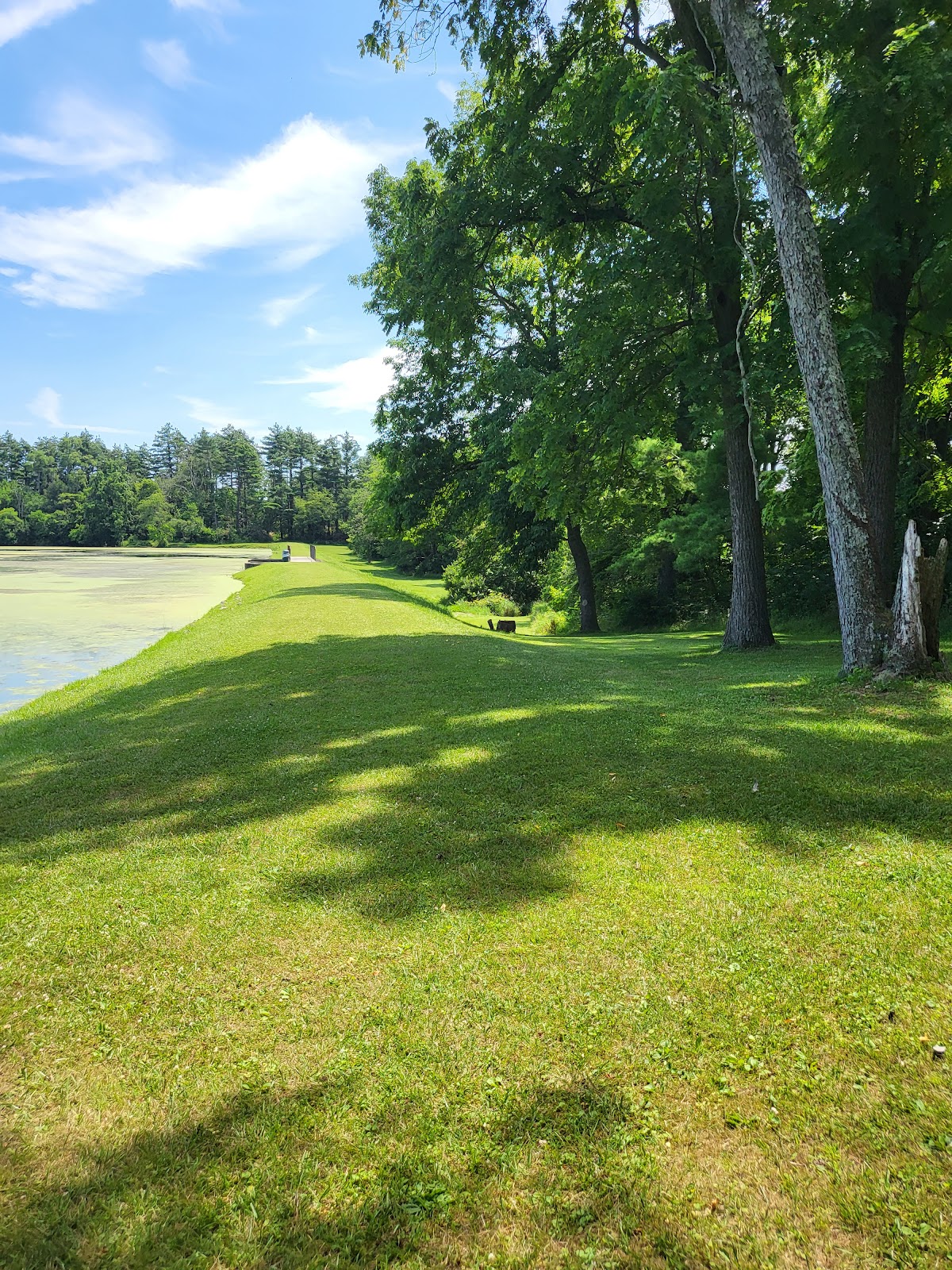 Manlove Park Camping