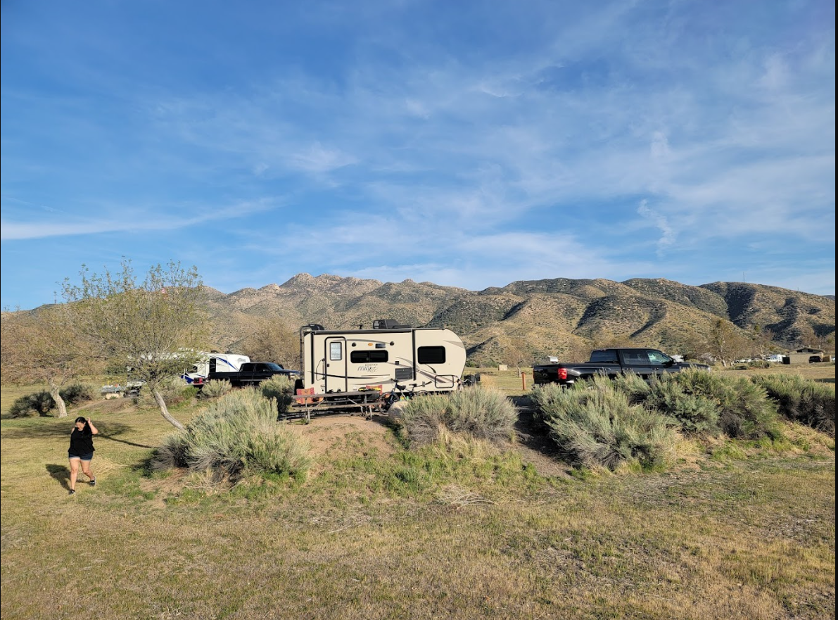 Mojave River Forks Regional Park