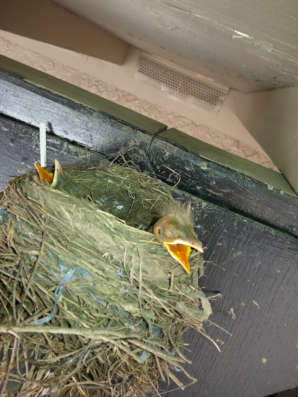 Westwick Motel & RV Park