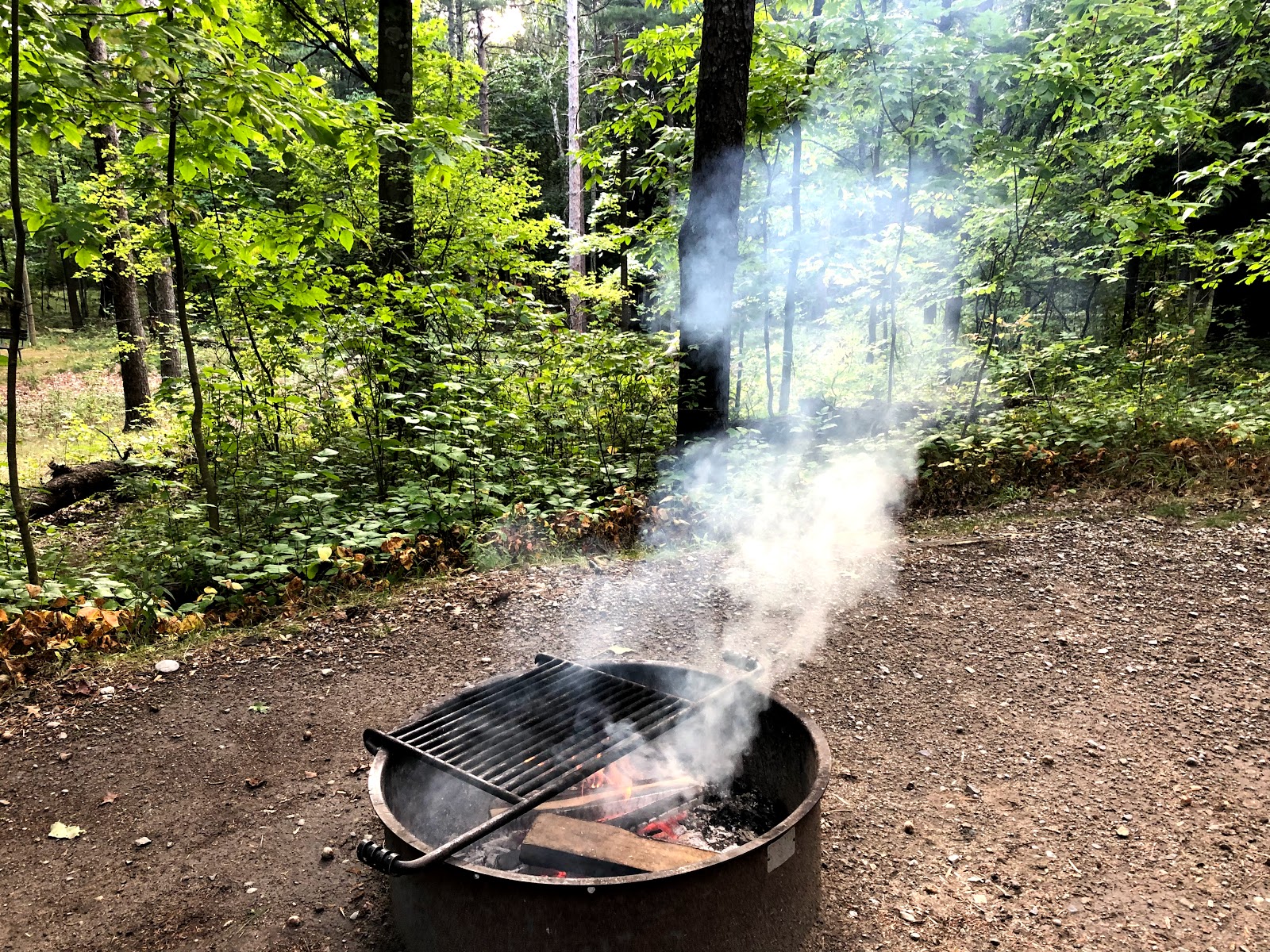 DH Day Campground - Sleeping Bear Dunes National Lakeshore