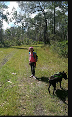 Orange Point - Welaka State Forest