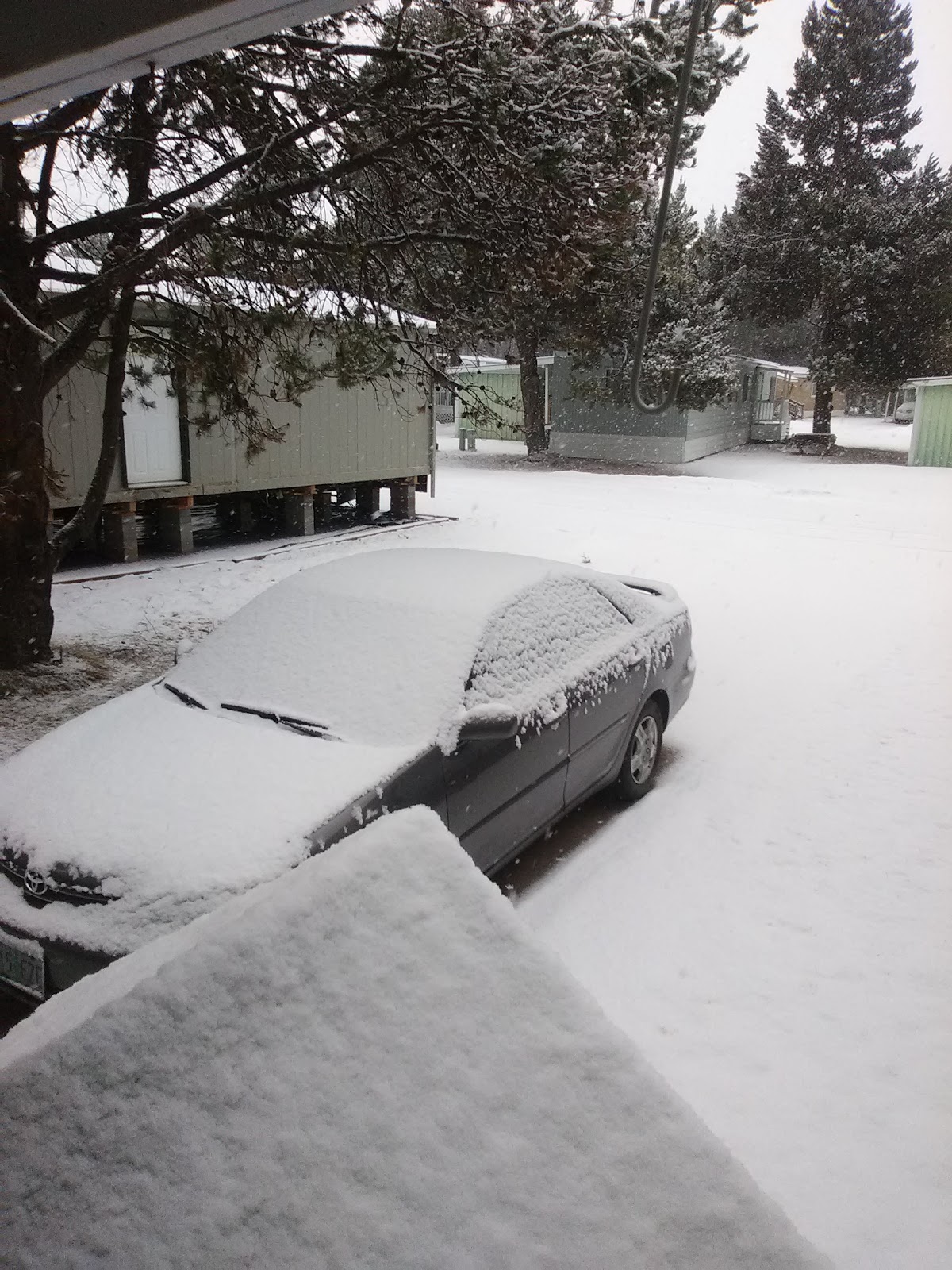 Riverview Trailer Park