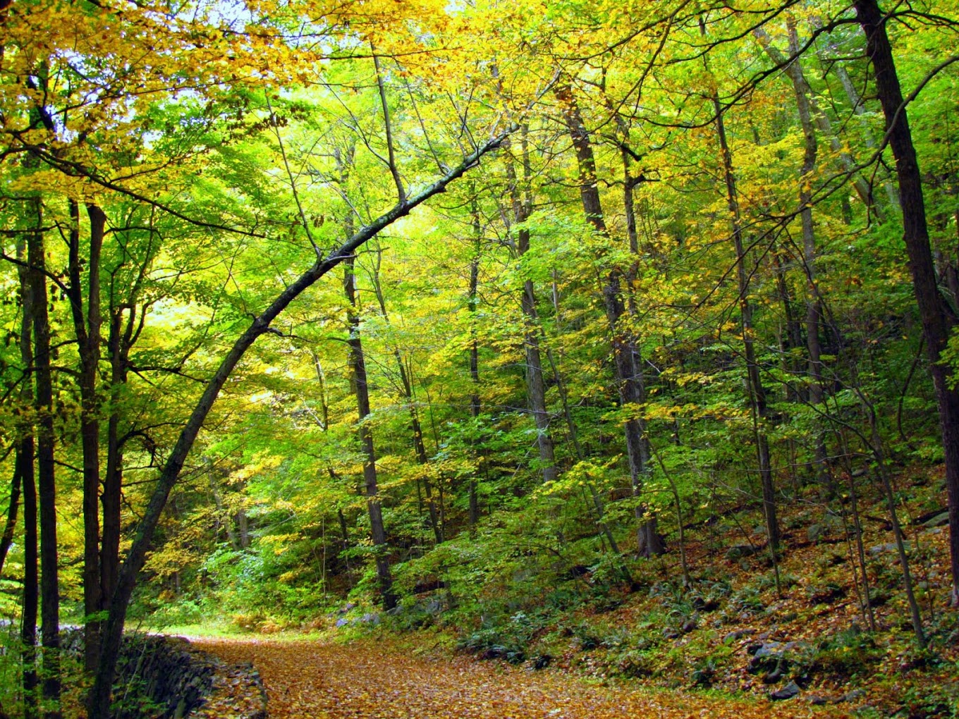 Housatonic Meadows State Park