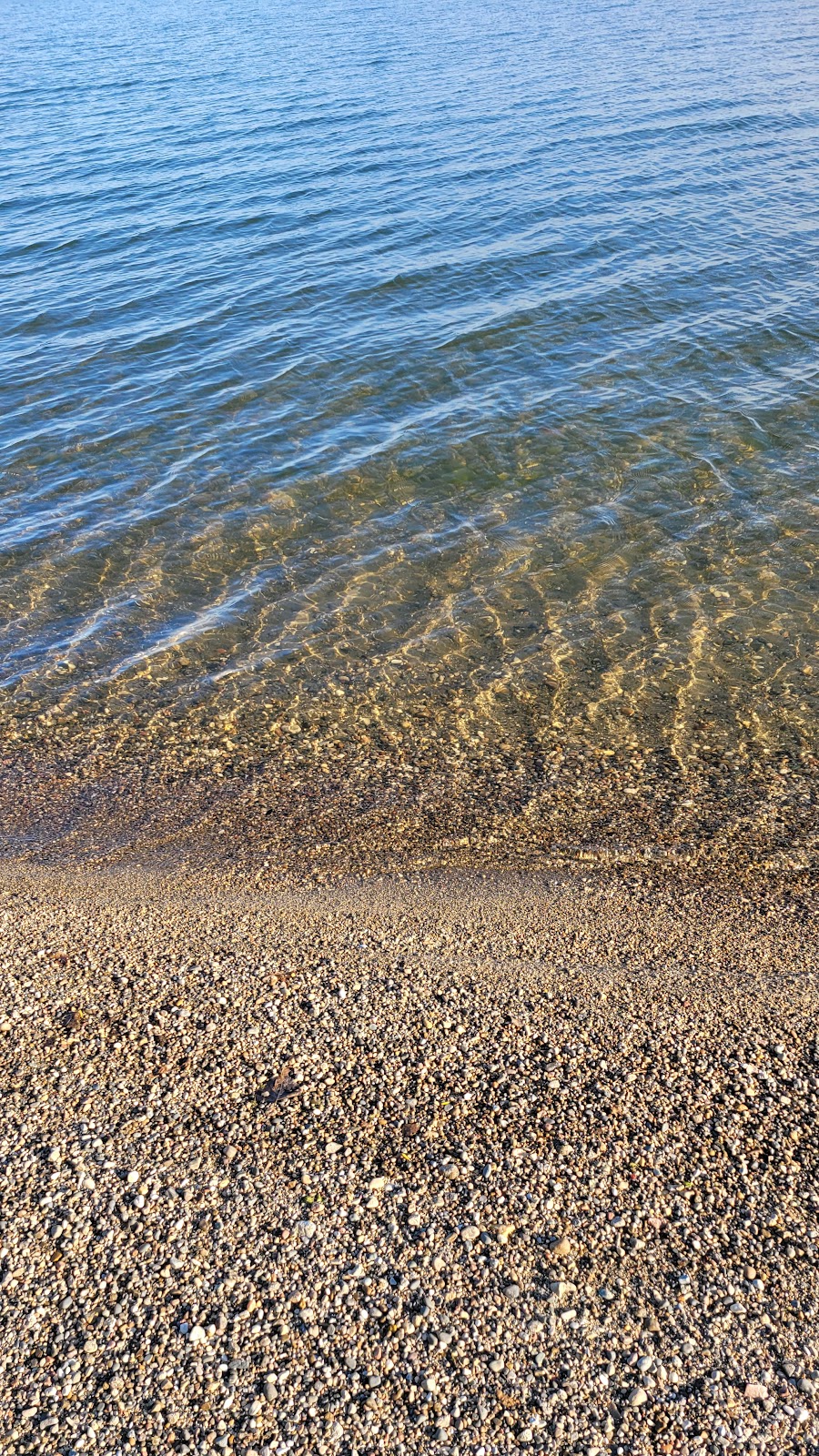 Campground 1 - Lake Poinsett SRA