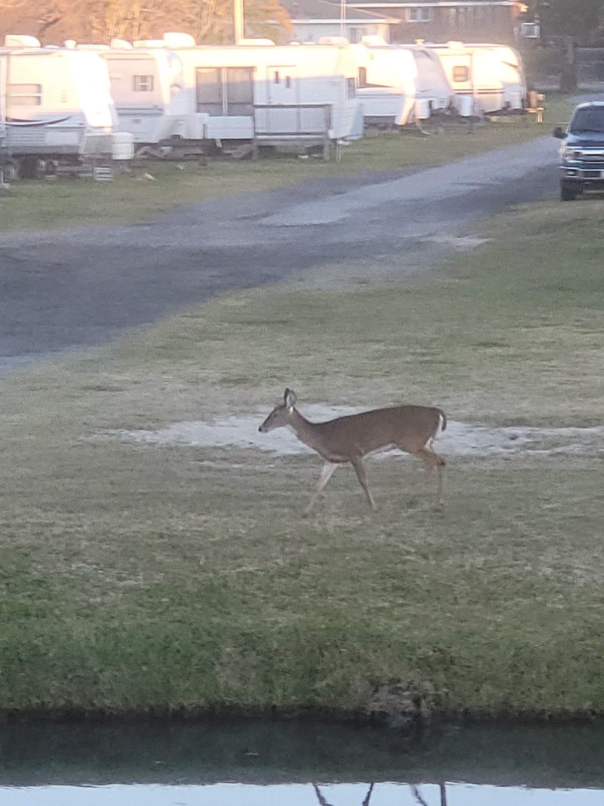 Island Hide-A-Way Campground