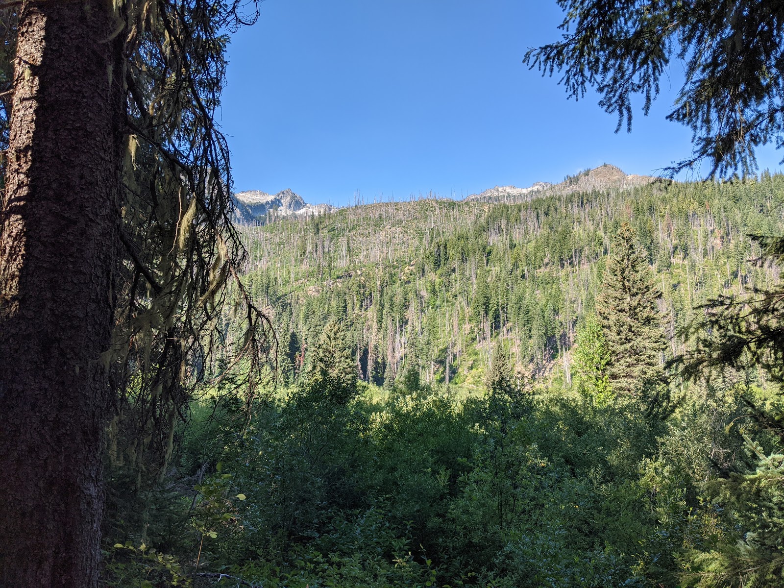 Nineteenmile Campground