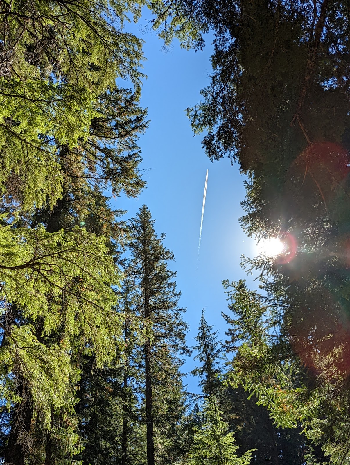 Whitehorse Falls Campground