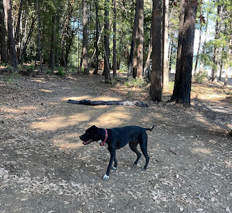 Garden Point Boat-in Campground