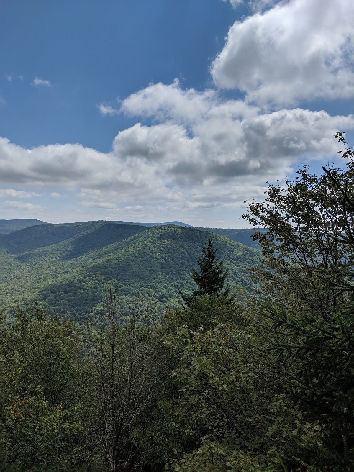 Tea Creek NF Campground