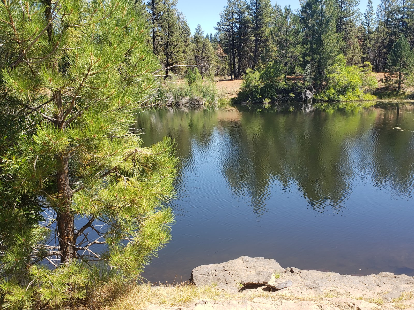 Cottonwood Pit Campground