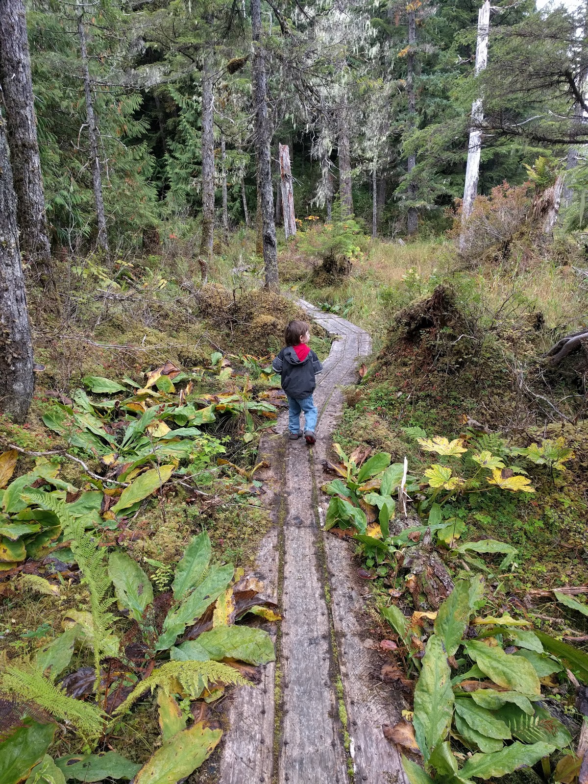 Eagles Nest NF Campground