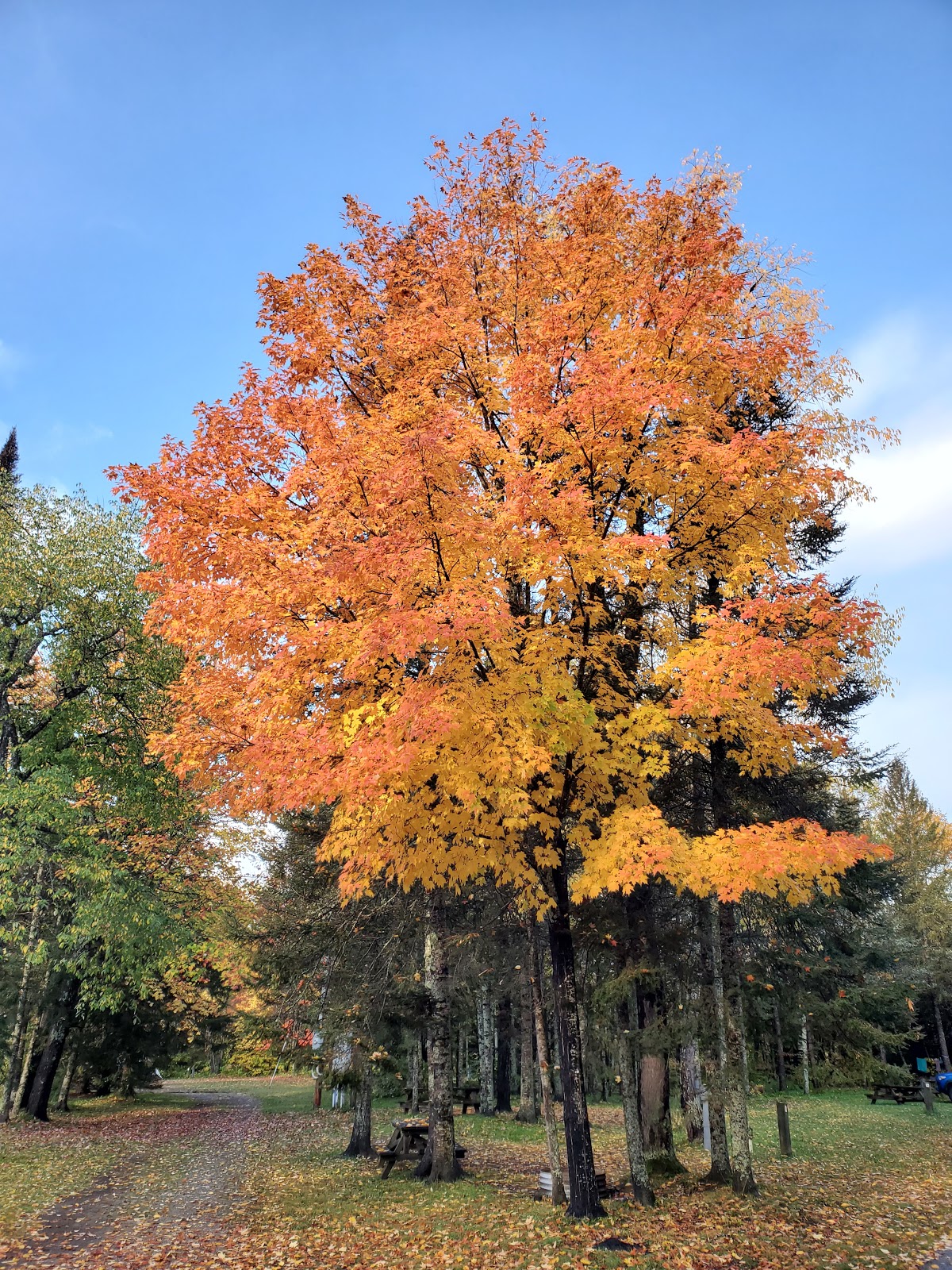 Michigamme Shores Campground