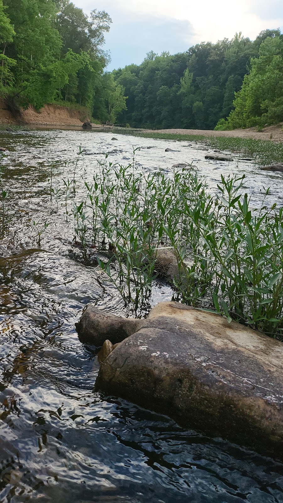 Ozark Campground - Buffalo National River