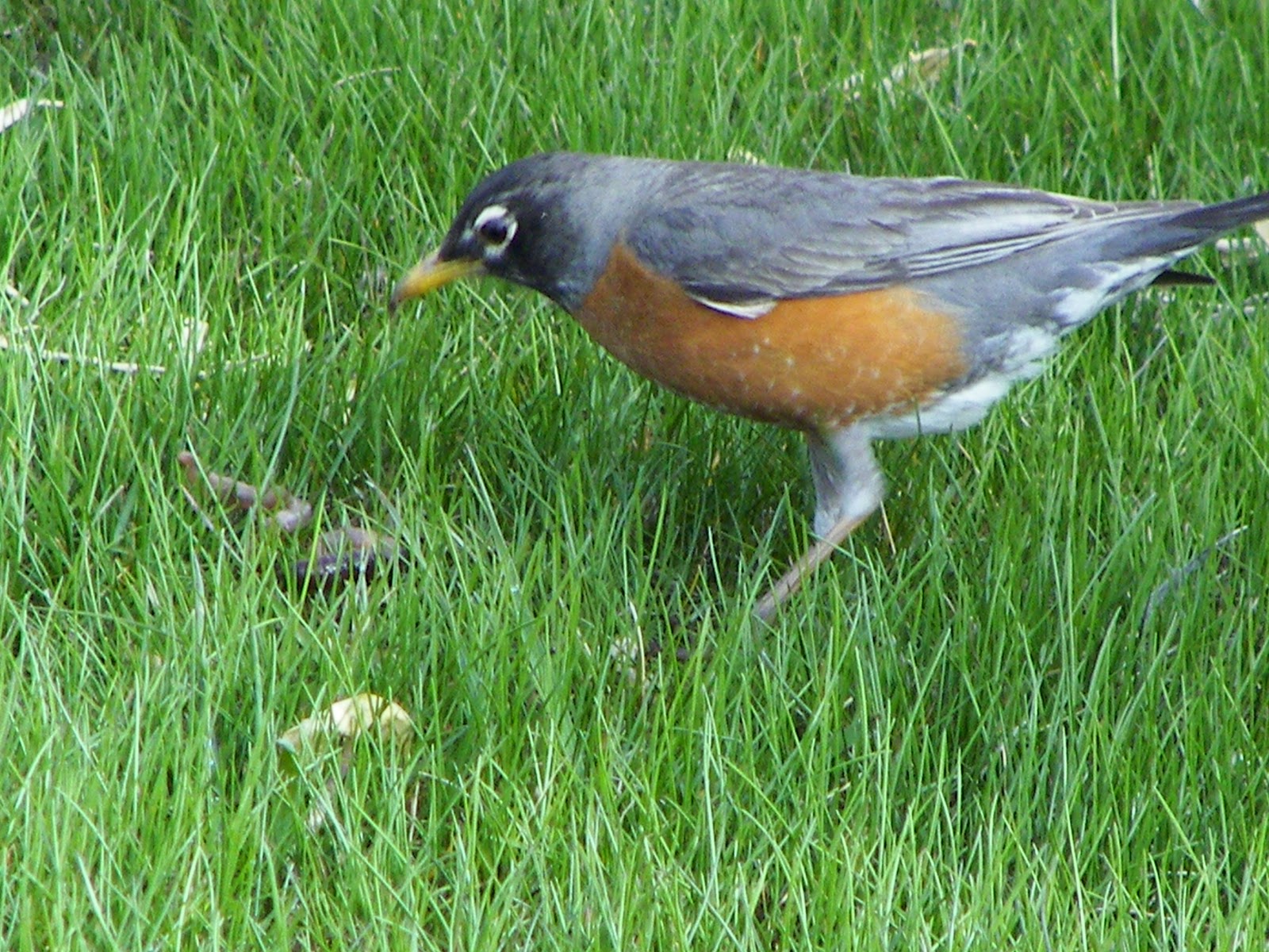 Craters of the Moon /Arco KOA