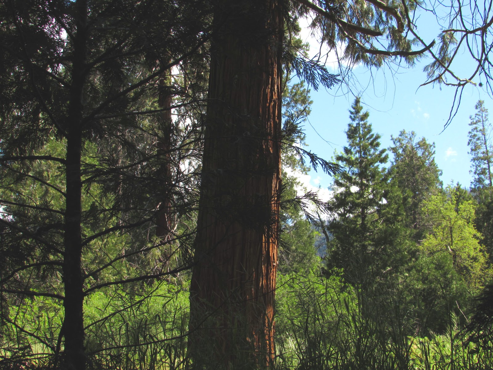 Bretz Mill Campground