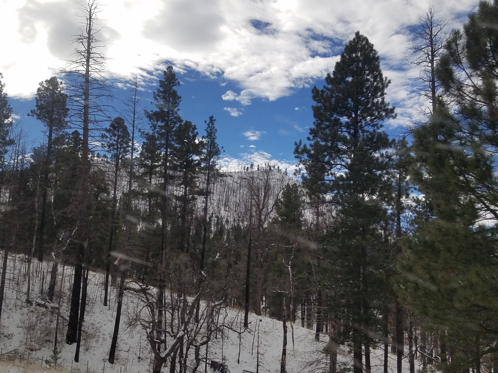 Alpine Divide Campground