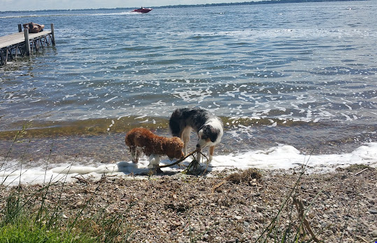 Marble Beach State Recreation Area