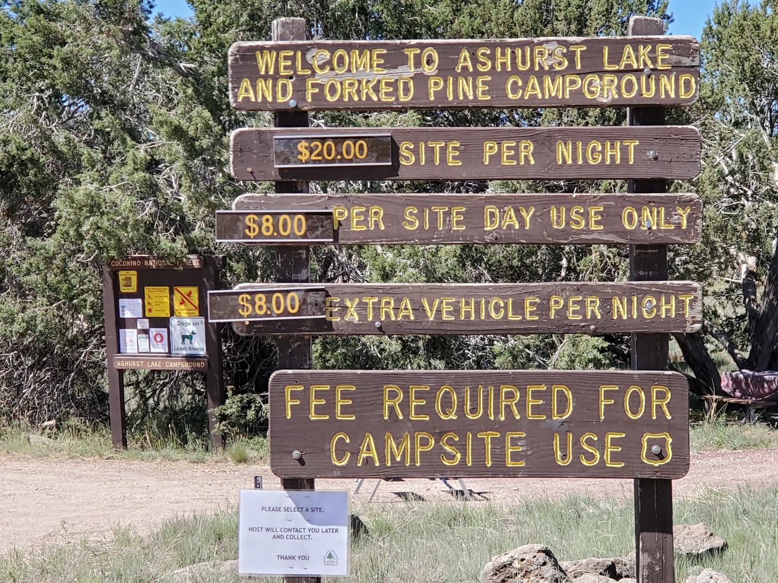 Ashurst Lake Campground