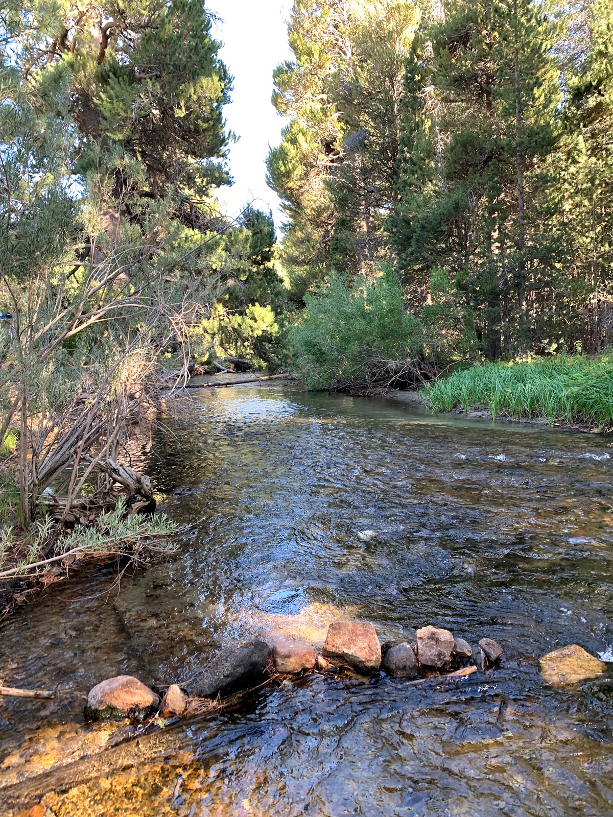Hartley Springs Campground