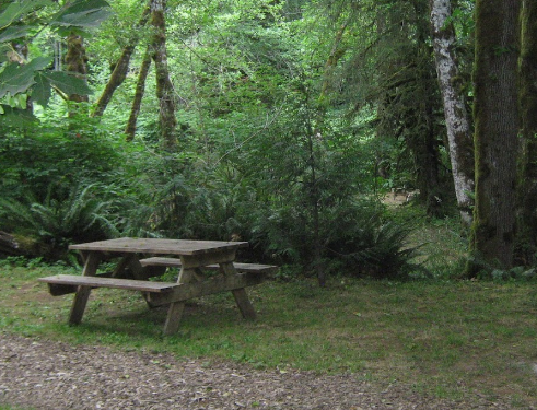 Camper Cove Campground