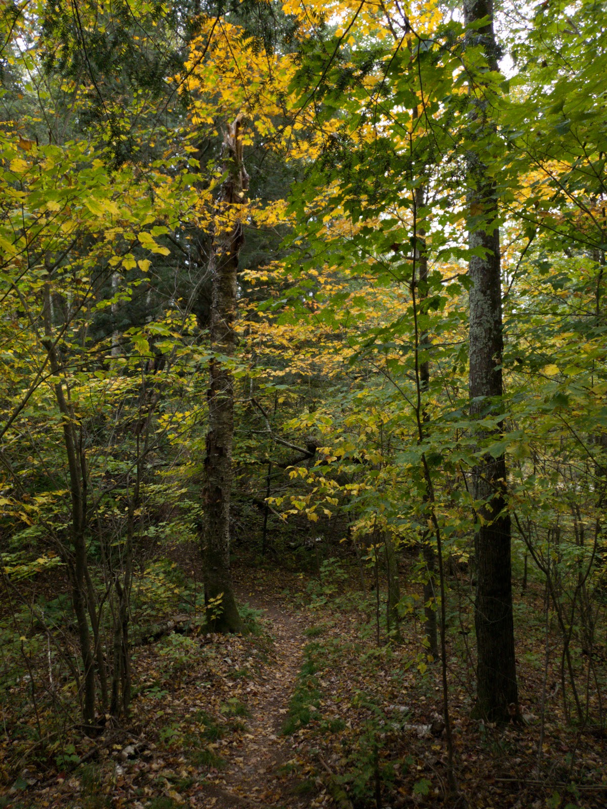 West Point NF Campground