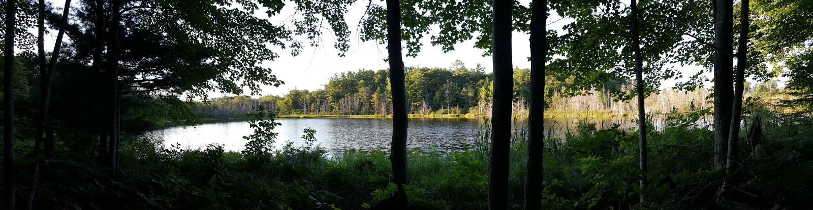Lake Ann Campground
