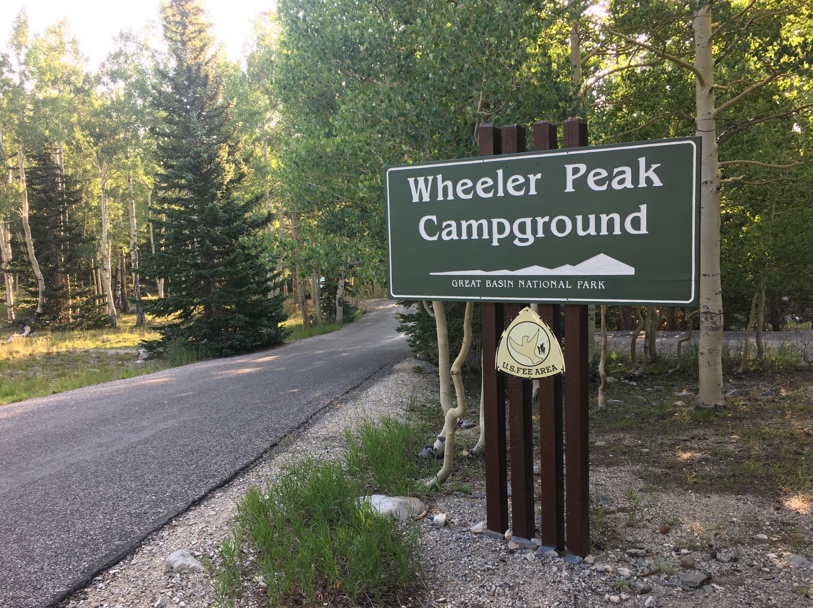 Whealer Peak Campground - Great Basin National Park