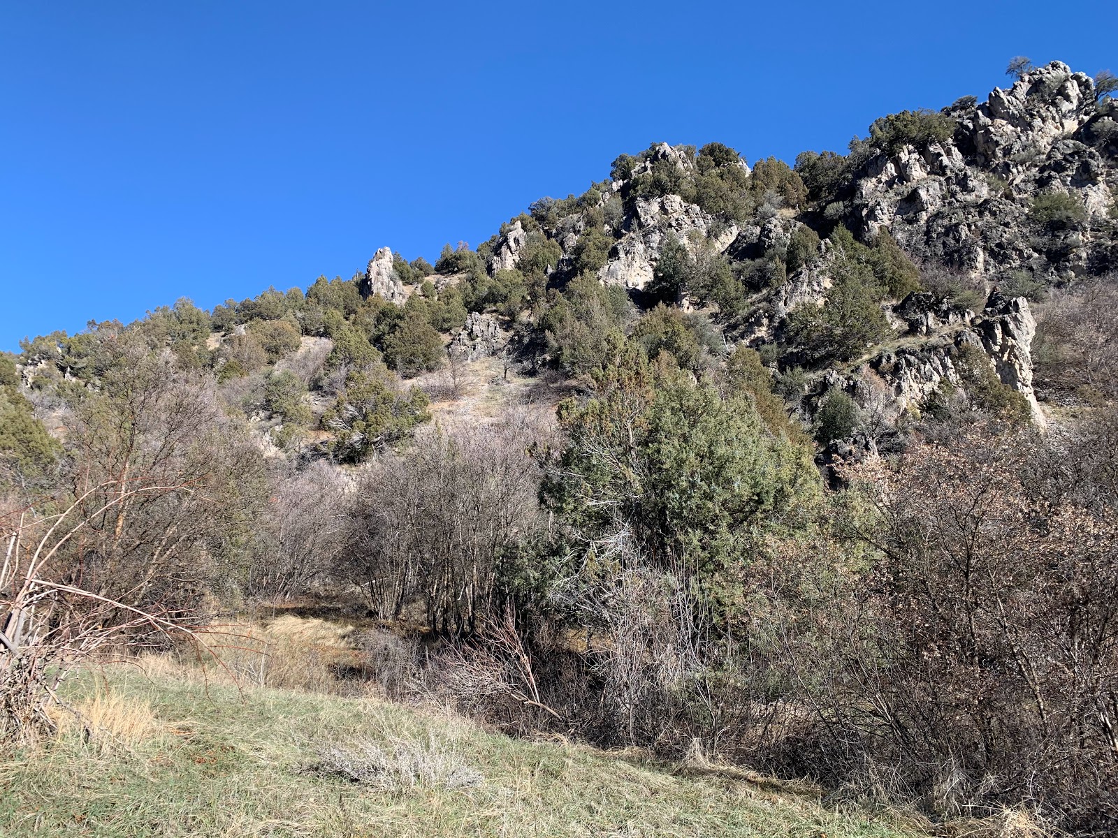 Preston Valley Campground