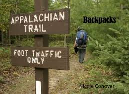 Appalachian Trail Designated Backpacker Campsite 2