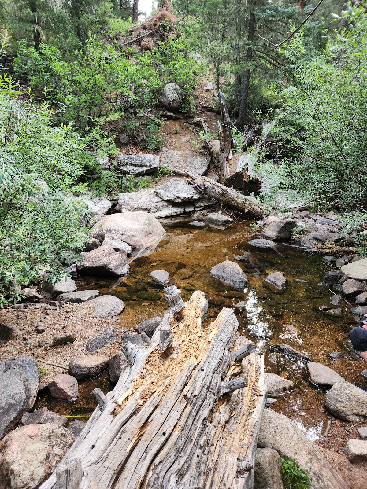 Rio De Las Vacas Campground