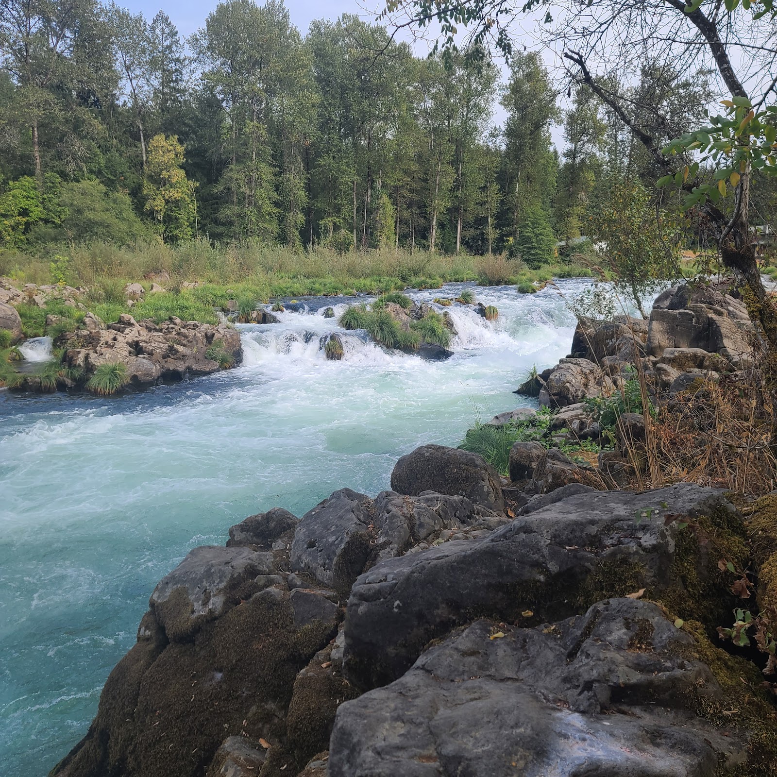 Waterloo County Park