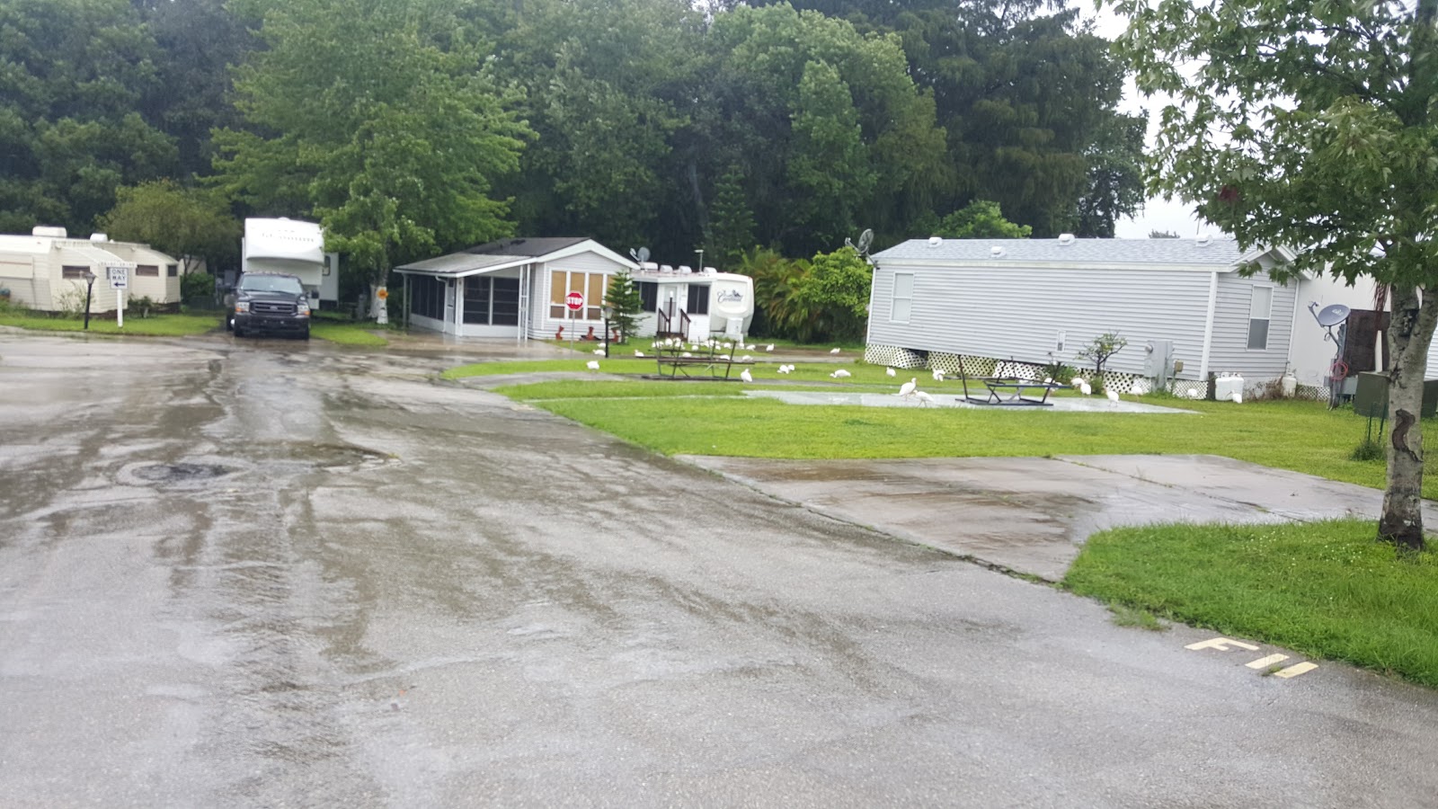 Great Oak Campground