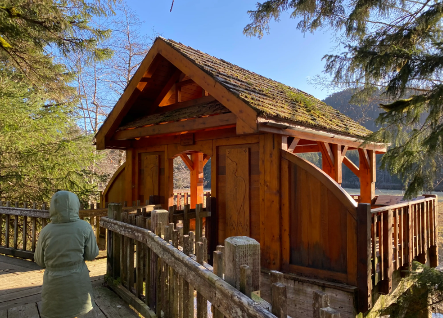 Starrigavan Campsites