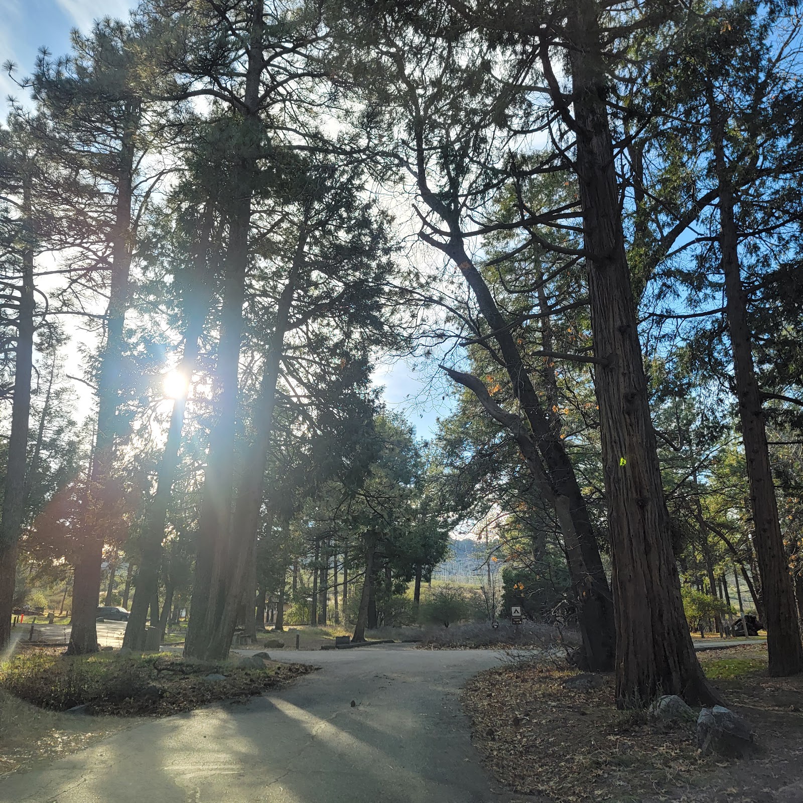 Paso Picacho - Cuyamaca Rancho State Park