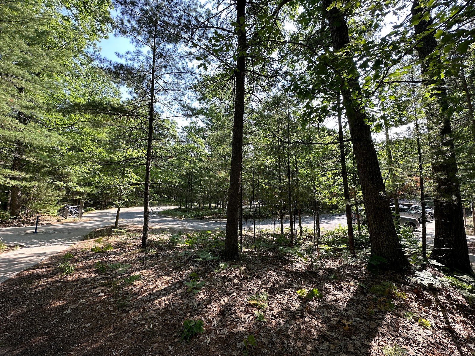 Platte River Campground - Sleeping Bear Dunes National Lakeshore