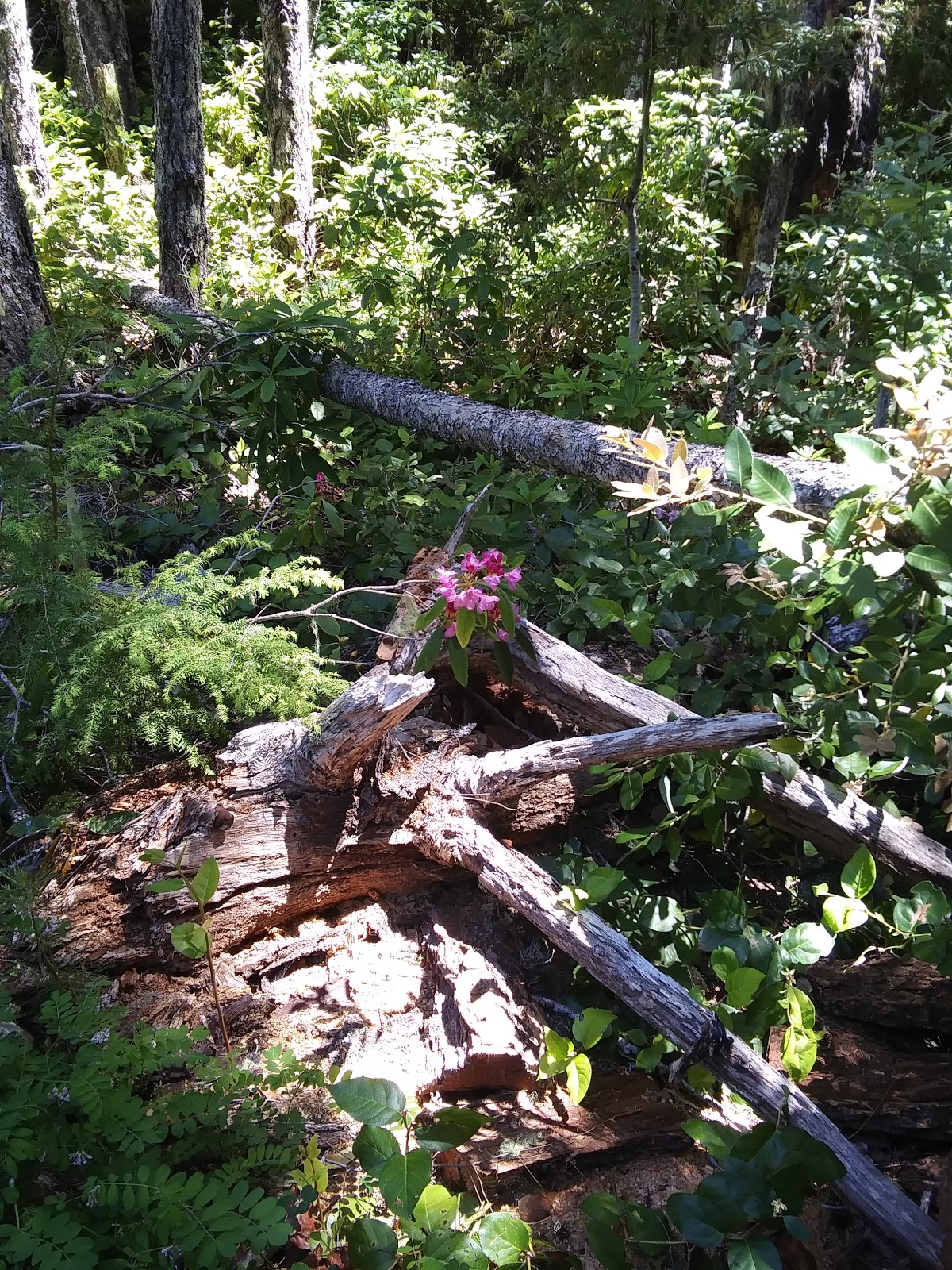 Eden Valley Campground