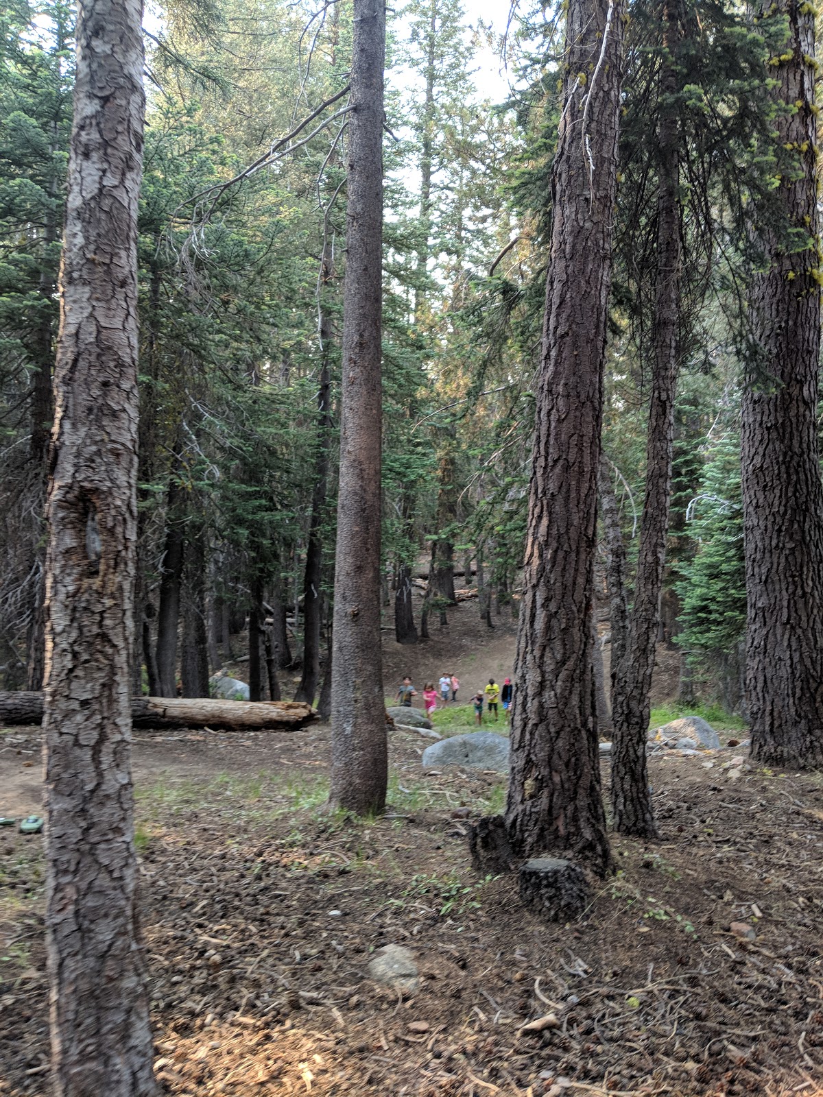 (Lake Alpine) Lodgepole Campground