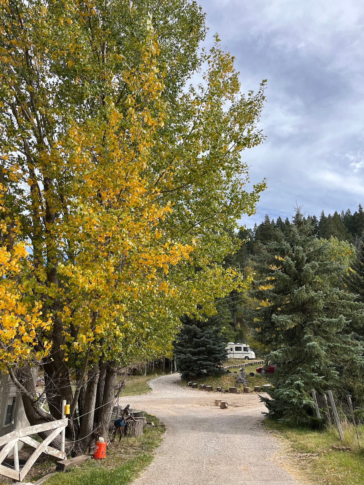 Silver Springs RV CG & Trout Pond