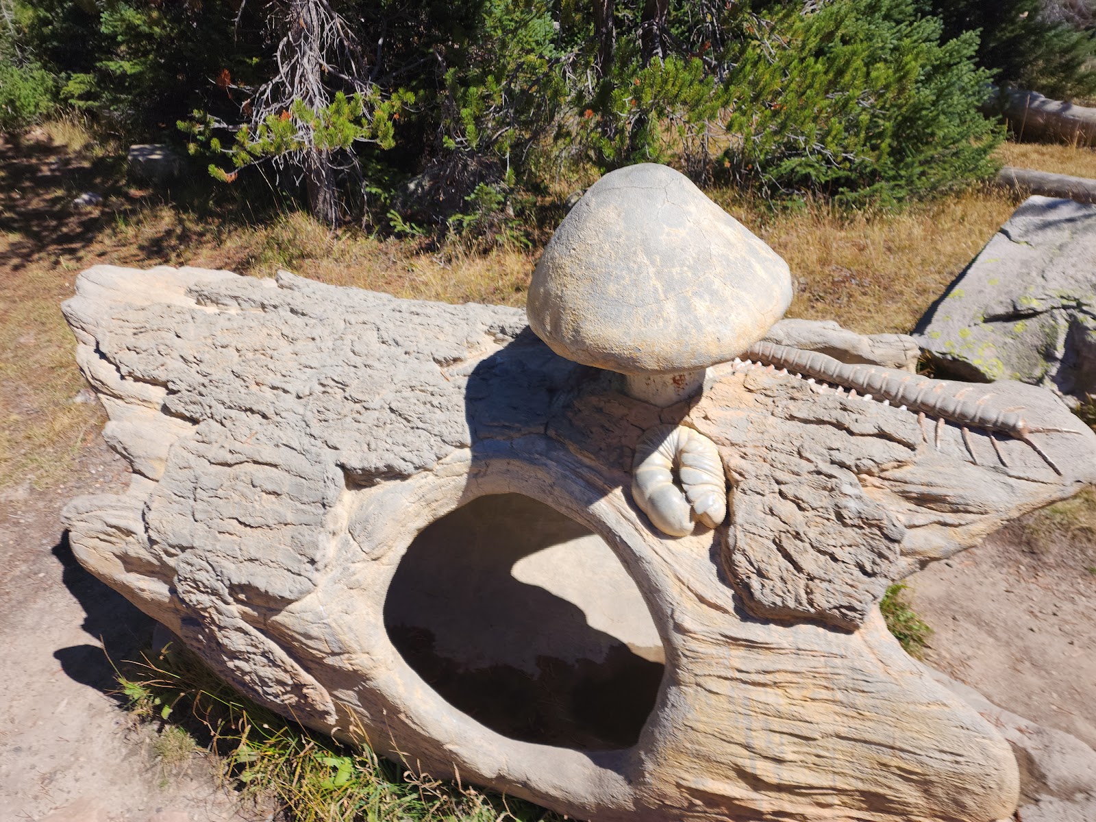 Mirror Lake Campground