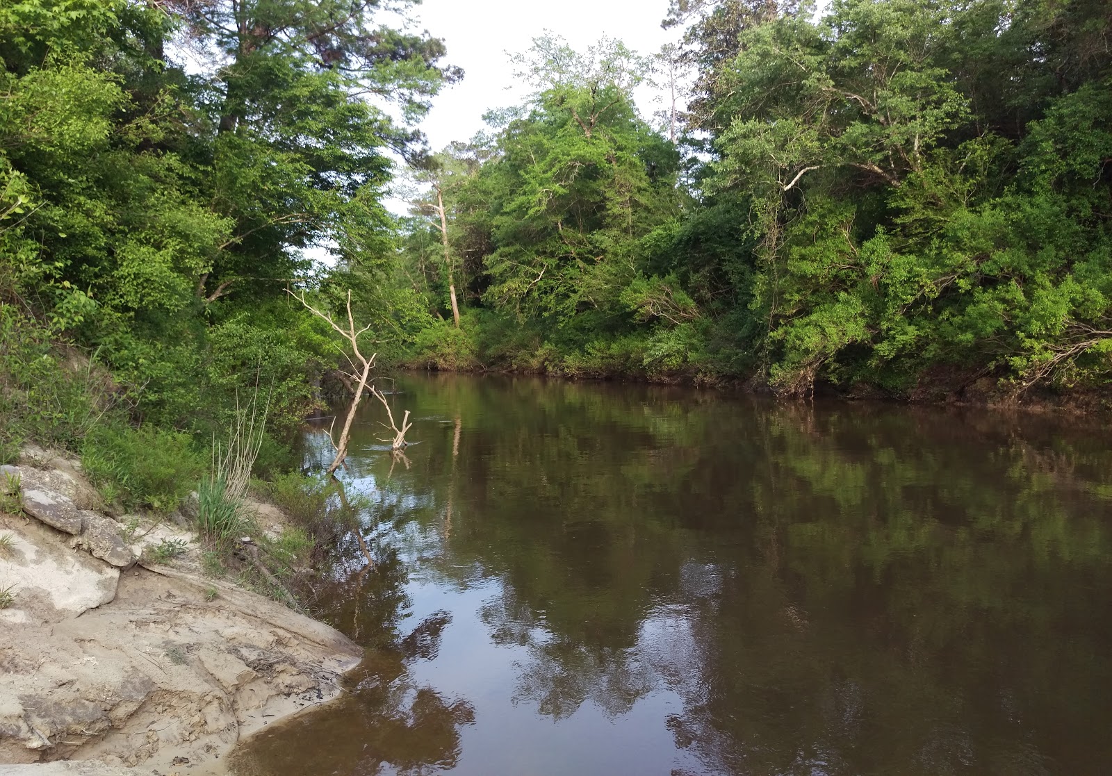 Janice Landing NF Campground
