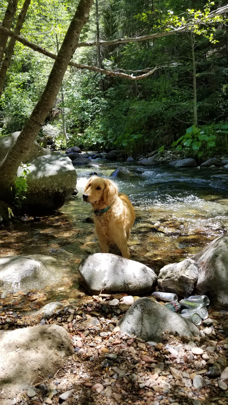 Tunnel Mills Group Campground