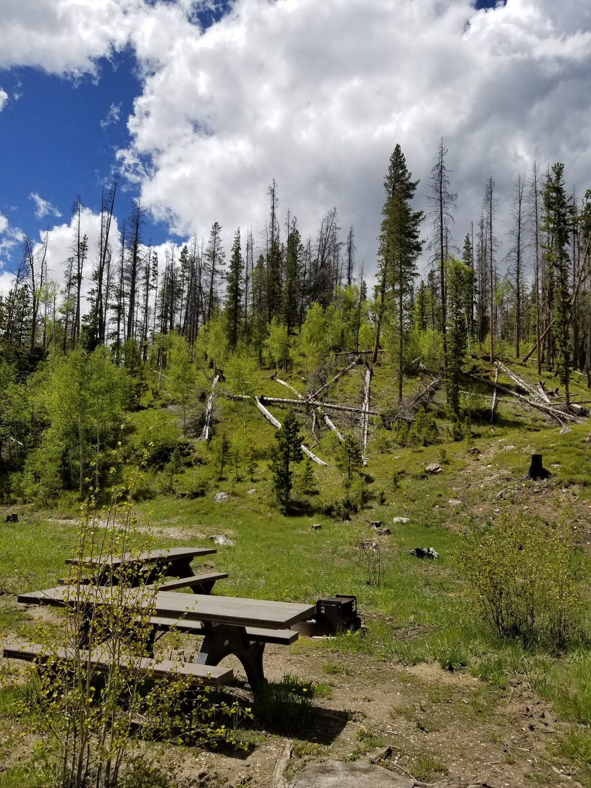 Pine Libby Creek Rec Area