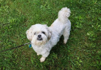 Bumble Bee RV Park and Campground