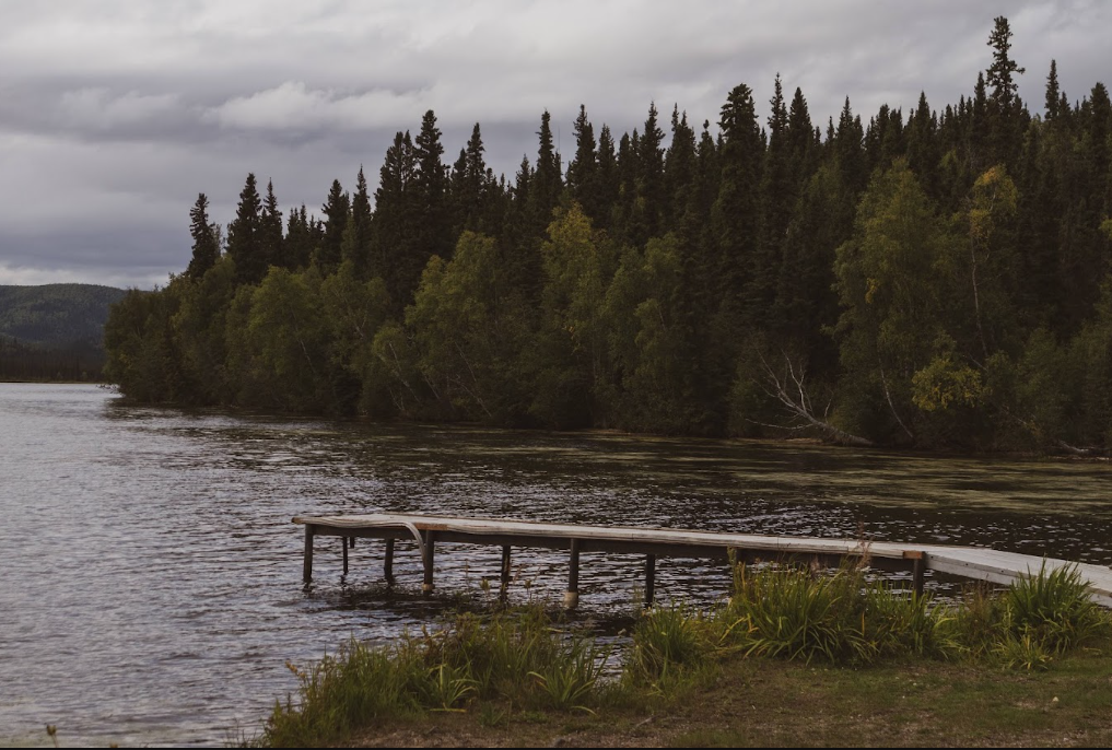 Birch Lake State Recreation Area